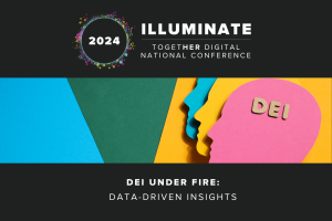 DEI Under Fire